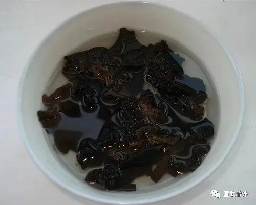 木耳泡多久就不能吃了，熟的木耳泡多久就不能吃了（久泡的木耳竟然有毒）