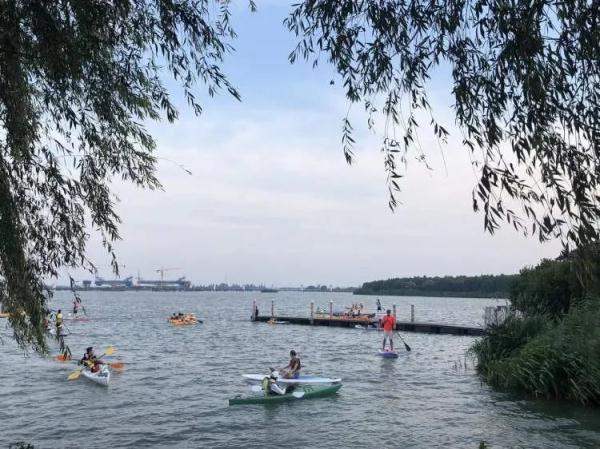 一个西一个先念什么，西字旁加一个先是什么字（青浦小村庄周末涌入数千辆自驾车）