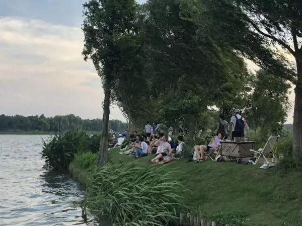 一个西一个先念什么，西字旁加一个先是什么字（青浦小村庄周末涌入数千辆自驾车）