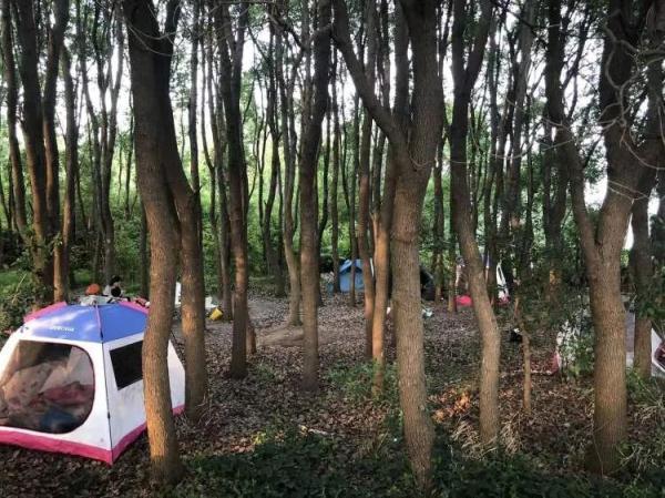 一个西一个先念什么，西字旁加一个先是什么字（青浦小村庄周末涌入数千辆自驾车）