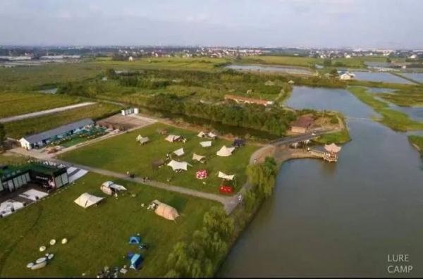 一个西一个先念什么，西字旁加一个先是什么字（青浦小村庄周末涌入数千辆自驾车）