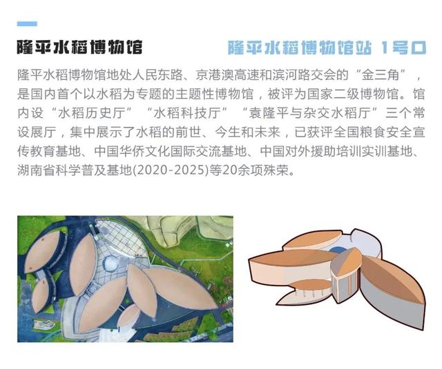 湘雅医学院在哪个区，中南大学湘雅医学院在哪个区（长沙地铁6号线沿线打卡攻略来了）