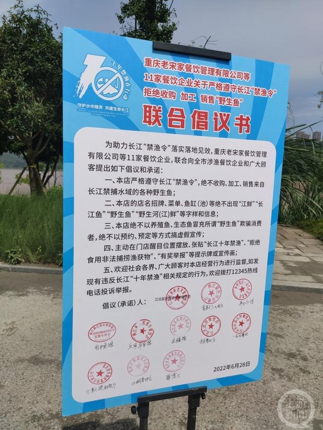 中国动物保护法，中国动物保护法有吗（长江鲟、胭脂鱼、岩原鲤……5000余尾长江上游珍稀特有鱼类“回家”了）