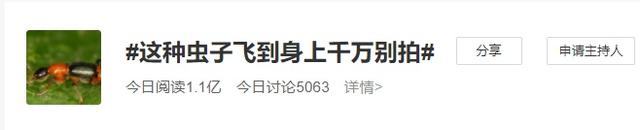 潮湿虫咬人吗，潮湿虫咬的疙瘩图片（这种虫子爱在夏季“攻击”你）