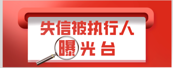 法院执行人信息查询（曝光）