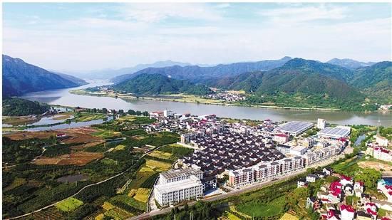 建德大洋镇：打响“红耕大洋”区域品牌 助力乡村蝶变