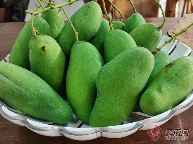 青芒果怎么吃，青芒果怎么吃图解法（青芒果——夏天一道酸甜的美味）