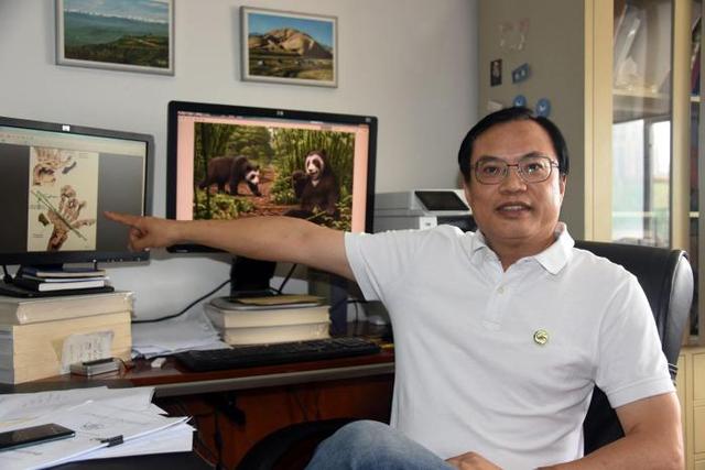 大熊猫属于什么目的动物，大熊猫属于什么目的动物?啮齿目食肉目食草目确定（大熊猫吃竹子“绝技”从何而来）