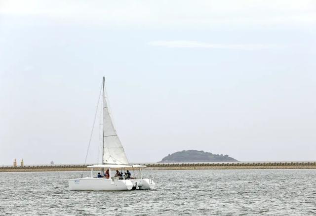 金山城市沙滩，金山城市沙滩图片（金山城市沙滩泳区正式对外开放）