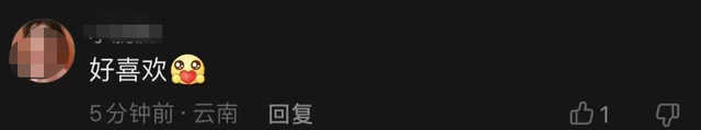刘德华抖音里的歌粤语，刘德华抖音粤语歌曲叫什么名字（刘德华台上深情演唱《中国人》）
