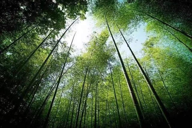 杭州西湖周围游玩攻略，杭州西湖必玩景点（西湖边这些消暑纳凉宝地走起）