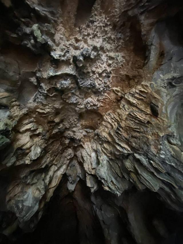 杭州西湖周围游玩攻略，杭州西湖必玩景点（西湖边这些消暑纳凉宝地走起）