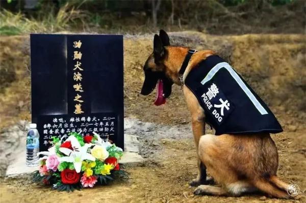 5kg是多少斤(150cm要多少斤才是瘦)"