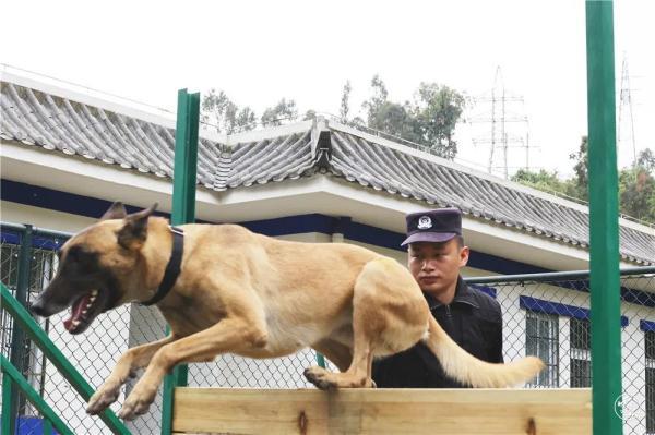 5kg是多少斤(150cm要多少斤才是瘦)"