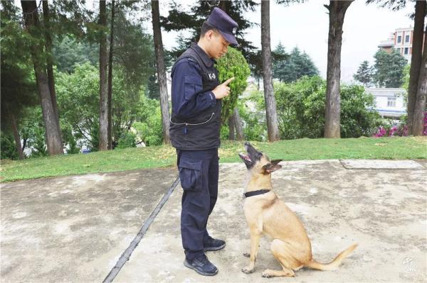 5kg是多少斤(150cm要多少斤才是瘦)"
