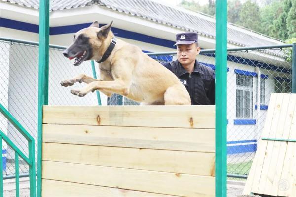 5kg是多少斤(150cm要多少斤才是瘦)"