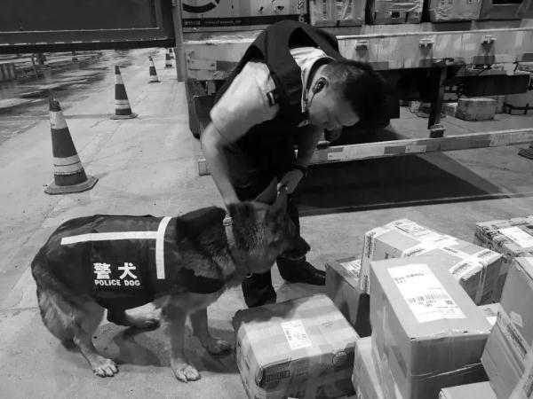5kg是多少斤(150cm要多少斤才是瘦)"