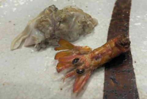 韩式寿司店（寿司店，韩式寿司图片（韩国女子在日本寿司店遭歧视）