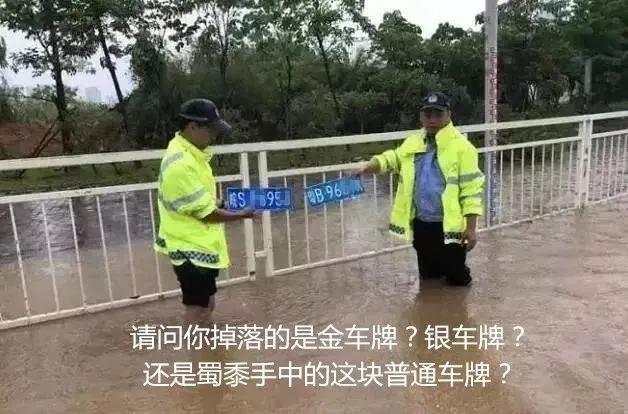 车牌丢失如何补办，车牌照丢失怎么补办（车牌损坏丢失怎么办）