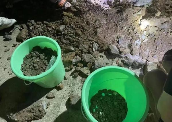 1000n等于多少kg，1000n等于多少kgf（当地连夜通告：藏匿的）