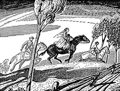 大卫王的故事，大卫王的故事免费下载（如果感觉福克纳的小说晦涩）