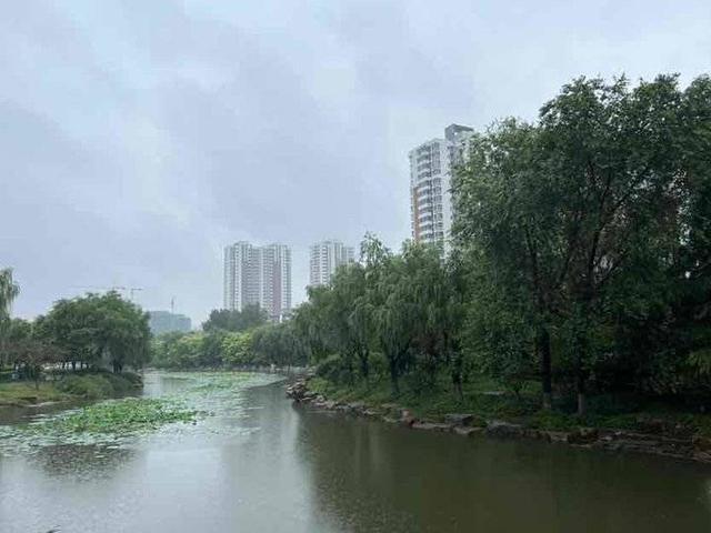 百花丛QM水会，百花丛qm（杏坛杯，南池雨趣<小学>）