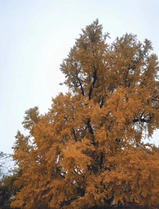 上海好玩的地方排行榜，上海十大好玩的地方排行榜（魔都这30个小众宝藏打卡地）