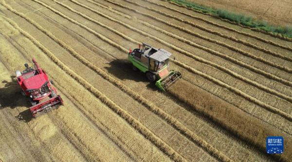 100kw用多大的电缆，100kw380v用多大电缆（生态黄河 幸福家园）