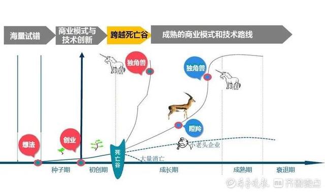 厦门瞪羚企业分布，厦门高新区数百家“瞪羚”企业集聚