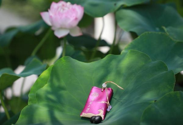 新生录取通知书，天津科技大学2020级硕士研究生新生入学相关事宜的预通知（快来看看各高校通知书）