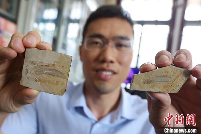 世界上最古老的动物，世界上最古老的动物区系（世界上最古老的动物和植物）