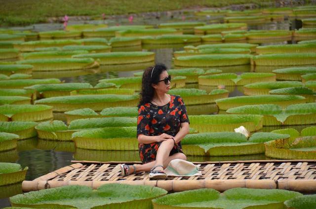 景洪市属于云南哪个市，云南省腾冲市属于哪个地区（云南西双版纳：“象”往之地）