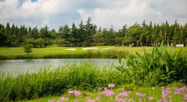 上海动漫城在哪，上海动漫城营业时间（喜欢上海的理由）