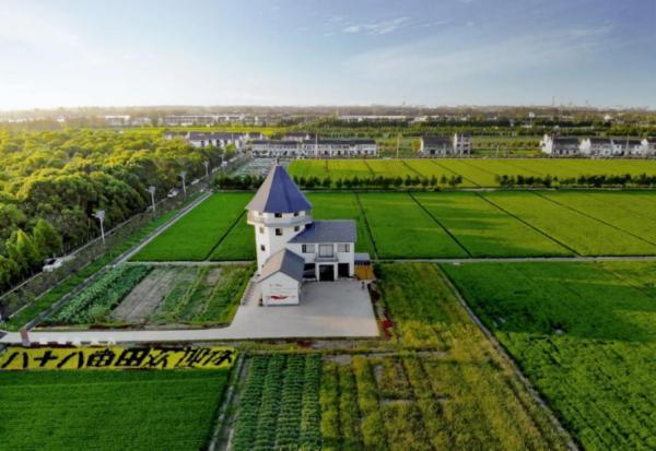 上海动漫城在哪，上海动漫城营业时间（喜欢上海的理由）