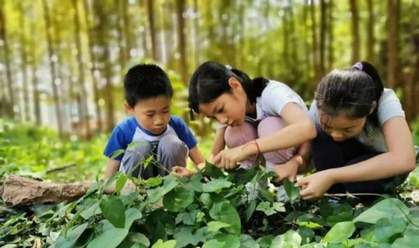 上海动漫城在哪，上海动漫城营业时间（喜欢上海的理由）
