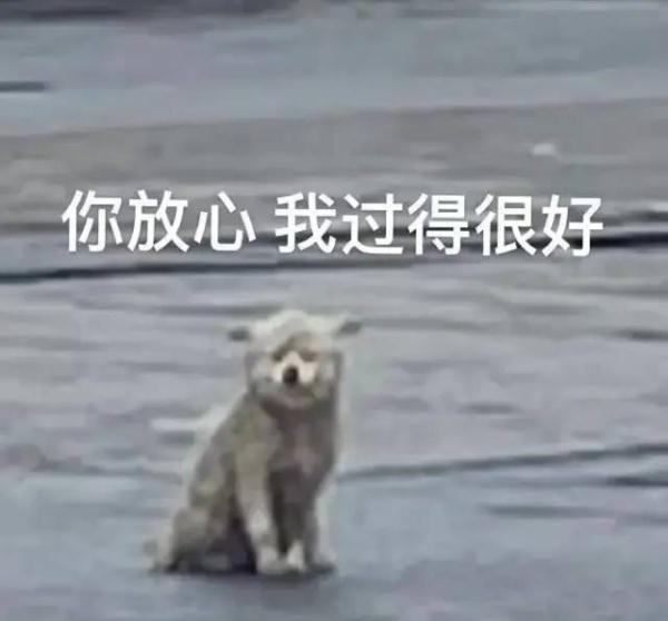 干加一笔是什么字，干加一笔变成什么字（校招签了三方协议想解约）