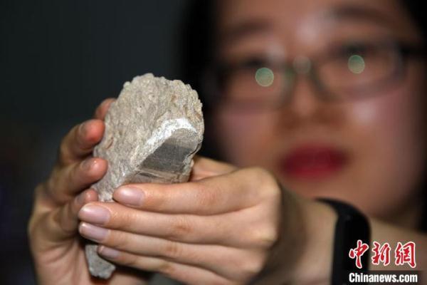 鸡蛋壳的主要成分是什么，鸡蛋壳是什么物质组成的（中科院团队最新研究揭示为氟磷灰石）