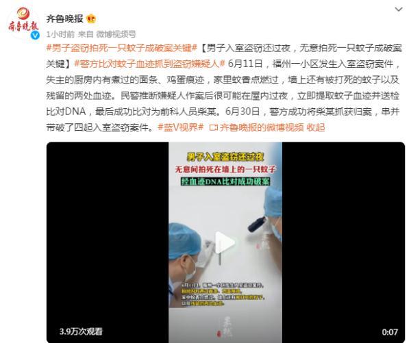 打死一只蚊子判几年，最漂亮的蚊子长什么样（无意拍死一只蚊子成破案关键）