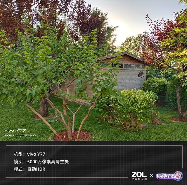 如何查看手机型号vivo，如何查看手机型号vivo买手机壳（80W快充的千元机体验如何）