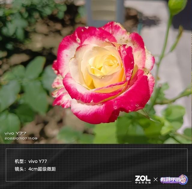 如何查看手机型号vivo，如何查看手机型号vivo买手机壳（80W快充的千元机体验如何）