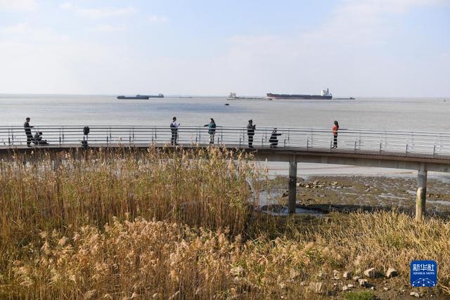 南通城市职业学院，江苏城市职业学院怎么样（建功新时代丨打造“城市客厅”——江苏南通五山及沿江地区生态修复保护观察）