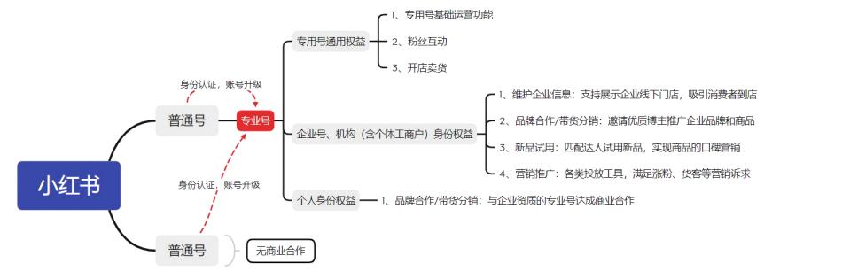 小红书企业号怎么注册（小红书企业号运营内容解析）