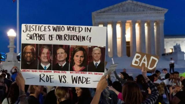 什么叫党棍，棍是干啥的呀（到底是司法神圣殿堂）