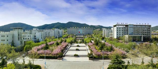 2022年山东商务职业学院中外合作办学招生计划及各专业招生人数，山东工商学院中外合作办学招生计划（”高校不可错过）