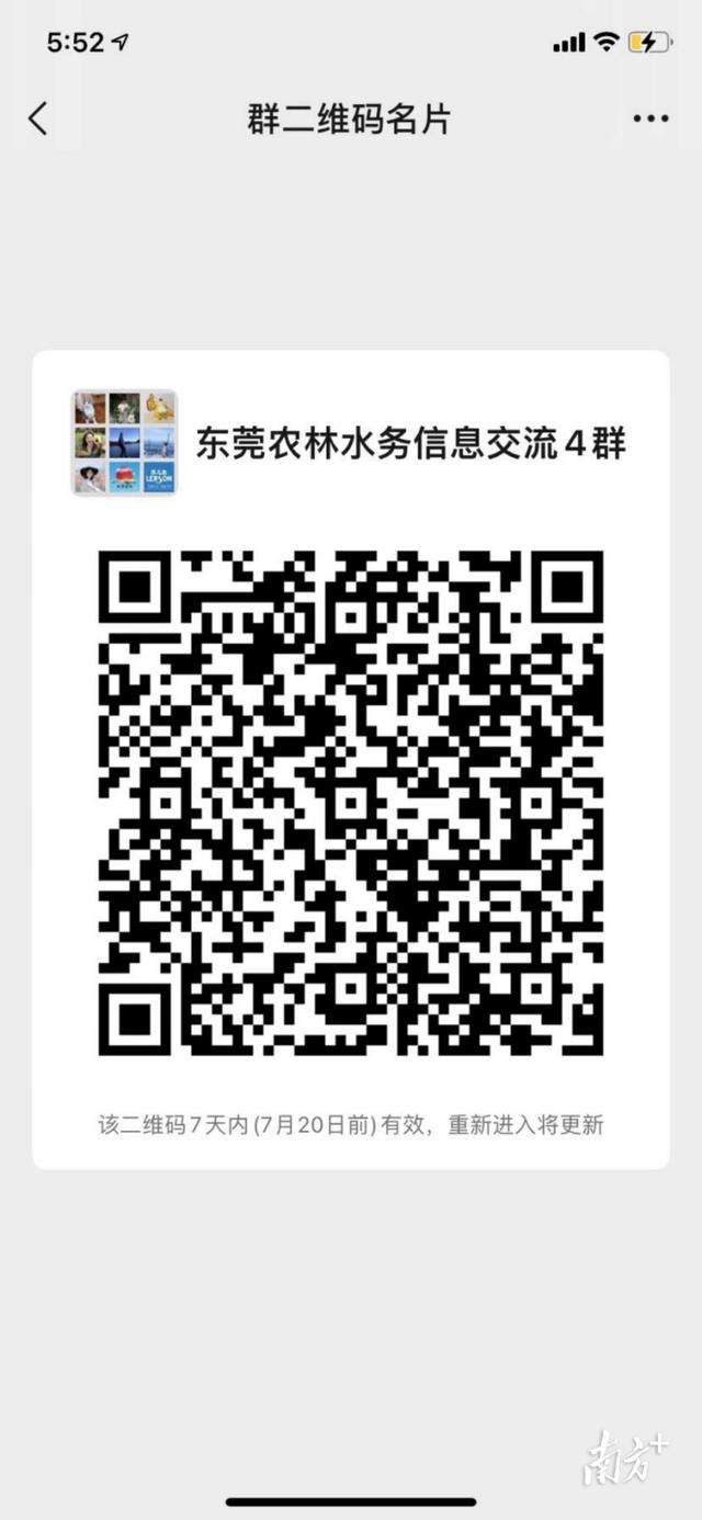 东莞荔枝几月份成熟，2022年东莞荔枝几月份成熟（东莞荔枝销售进入尾声）