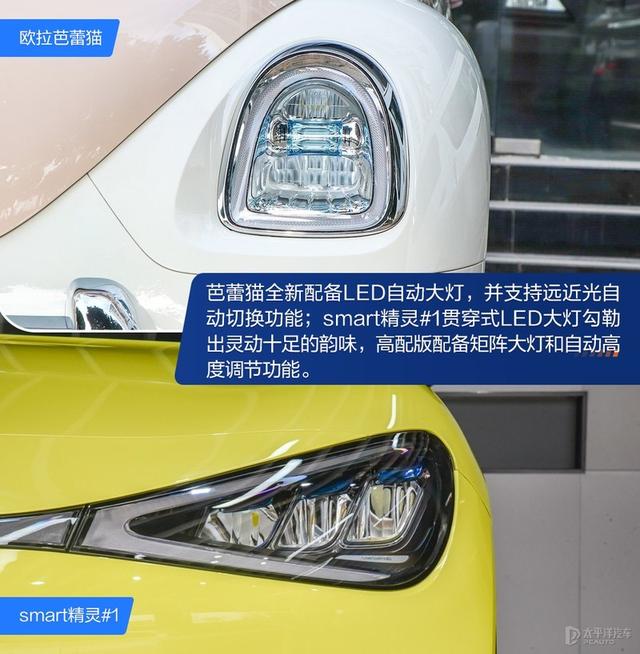内宠爱（婚内宠爱），芭蕾猫和smart谁更香（大宠爱是内外驱吗）
