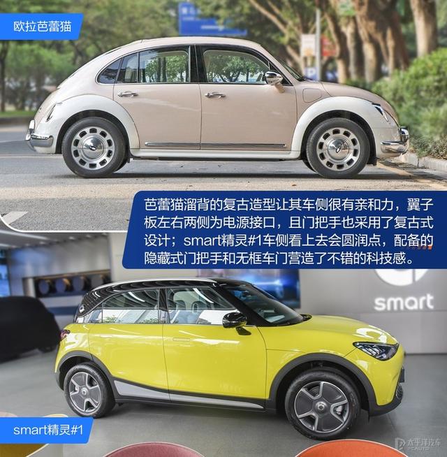 内宠爱（婚内宠爱），芭蕾猫和smart谁更香（大宠爱是内外驱吗）