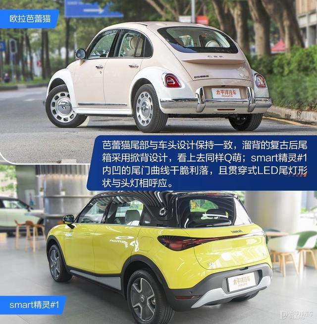 内宠爱（婚内宠爱），芭蕾猫和smart谁更香（大宠爱是内外驱吗）
