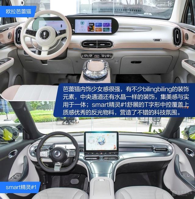 内宠爱（婚内宠爱），芭蕾猫和smart谁更香（大宠爱是内外驱吗）