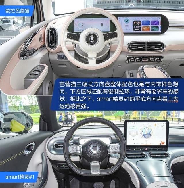 内宠爱（婚内宠爱），芭蕾猫和smart谁更香（大宠爱是内外驱吗）